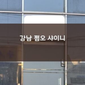 강남 샤이니 쩜오