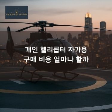 개인 헬리콥터 자가용 구매 비용 얼마나 할까