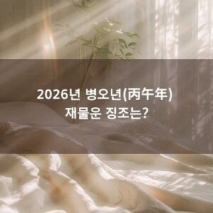 [사주 칼럼] 2026년 병오년(丙午年) 재물운 징조는?