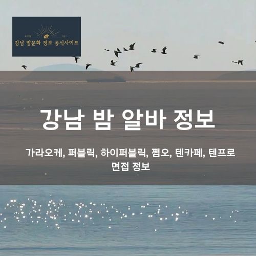 강남 밤알바 정보 | 안전한 구인·근무 정보 | 초보·투잡·야간알바 정보