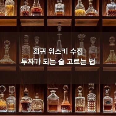 희귀 위스키 수집 - 투자가 되는 술 고르는 법