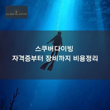 스쿠버다이빙 자격증부터 장비까지 비용정리