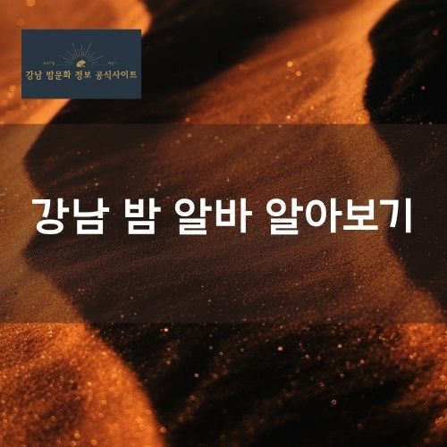 강남 밤알바 정보 한눈에 이해하기