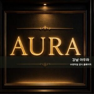 아우라 이미지 및 인테리어 02