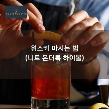 위스키 마시는 법 (니트 온더록 하이볼)