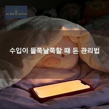 수입이 들쭉날쭉할 때 돈 관리법
