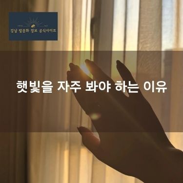 햇빛을 자주 봐야 하는 이유