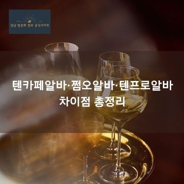 텐카페알바·쩜오알바·텐프로알바 차이 총정리