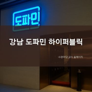 강남 도파민 하이퍼블릭 정보