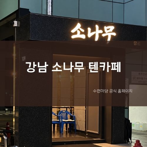 강남 소나무 텐카페 - 예약·시스템·가격·주대 정보