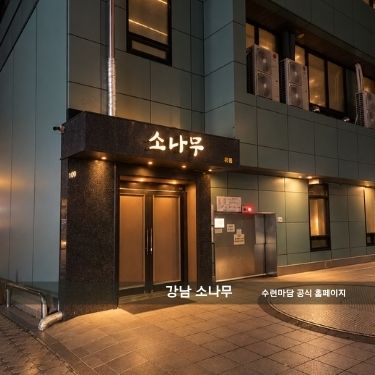 소나무 이미지 및 인테리어 01